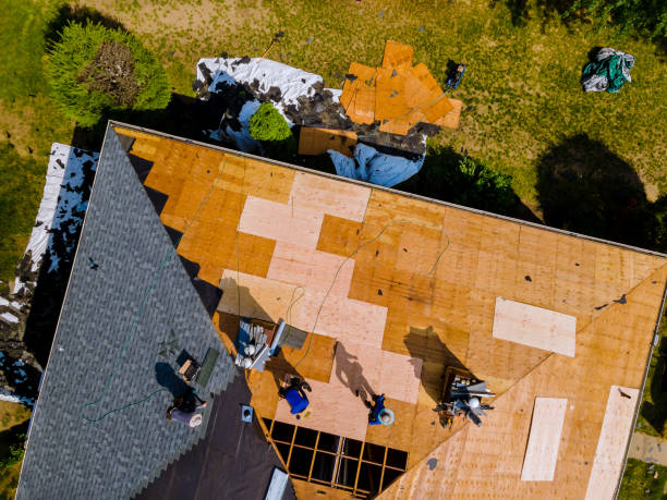 Best Local Roofing Companies  in Bon Secour, AL