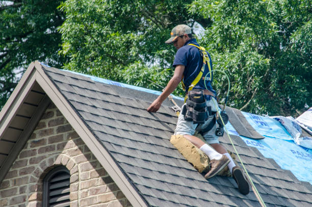 Tile Roofing Contractor in Bon Secour, AL
